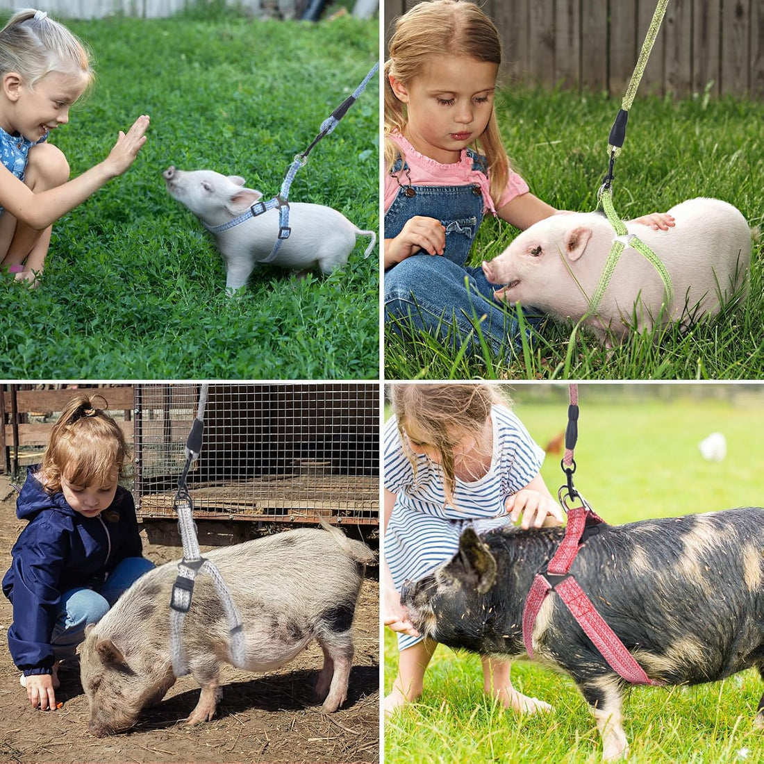 YeeBeny Mini Pig Harness Adjustable with Leash Foam Handle Pink, S