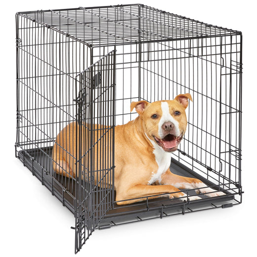 MidWest Homes for Pets 36-Inch iCrate for Medium-Large Breeds