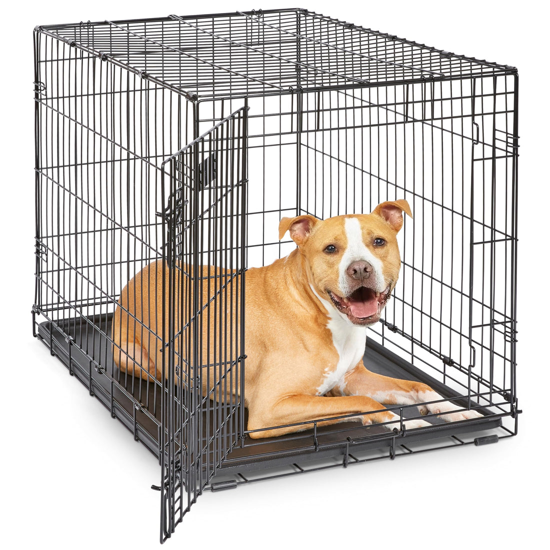 MidWest Homes for Pets 36-Inch iCrate for Medium-Large Breeds