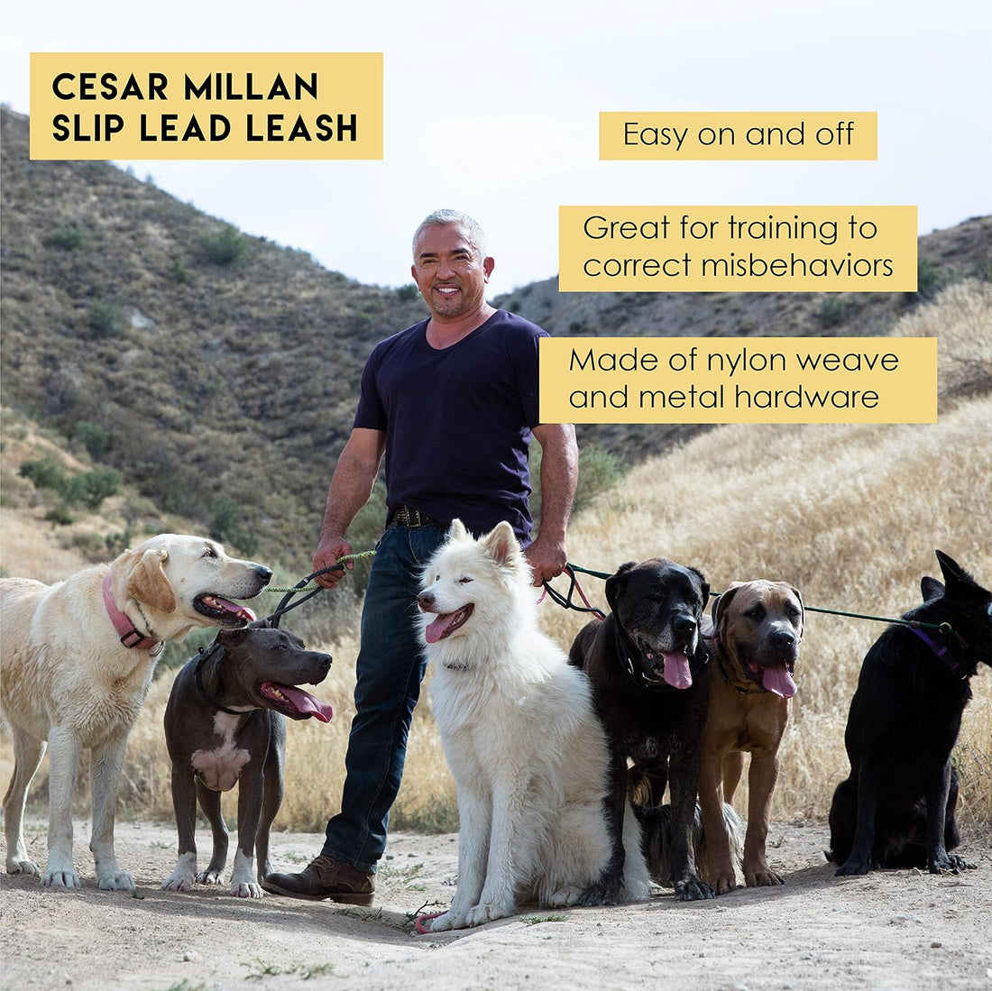 Cesar Millan Slip Lead Leash | Dog Leash | in Training Leash
