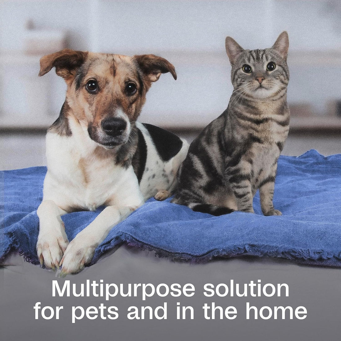 ADAMS Botanicals Flea & Tick Pet & Home Spray, Flea Spray for Dogs