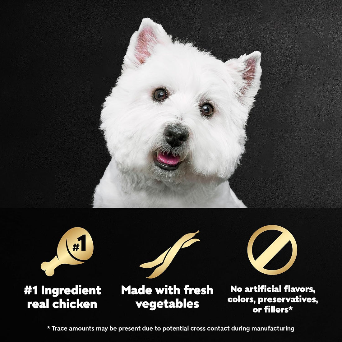 Cesar Wholesome Bowls Adult Wet Dog Food, Chicken Recipe and Chicken