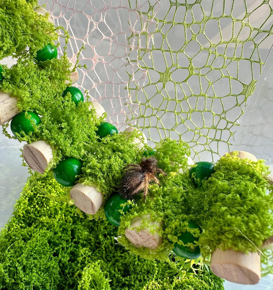 Jumping Spider Rope Bridge,A Solid Wood Climbing Suspension Bridge