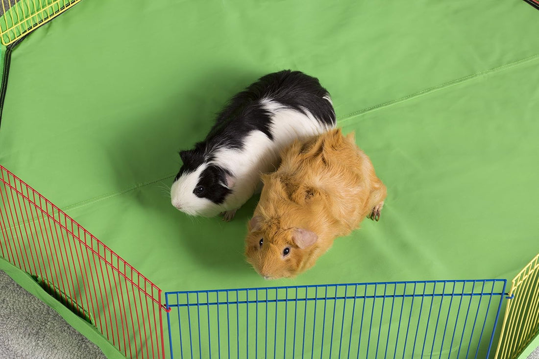 Prevue Pet Products Playpen Cover, Protects Floors & Carpets - Green