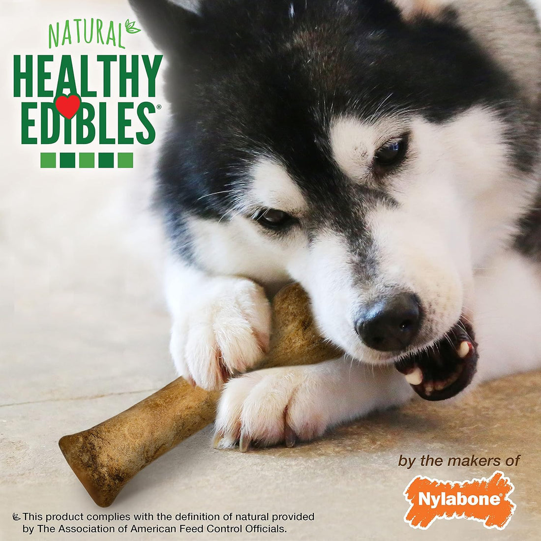 Nylabone Healthy Edibles Dog Treats, Bacon Flavor, X-Large, 2 Count