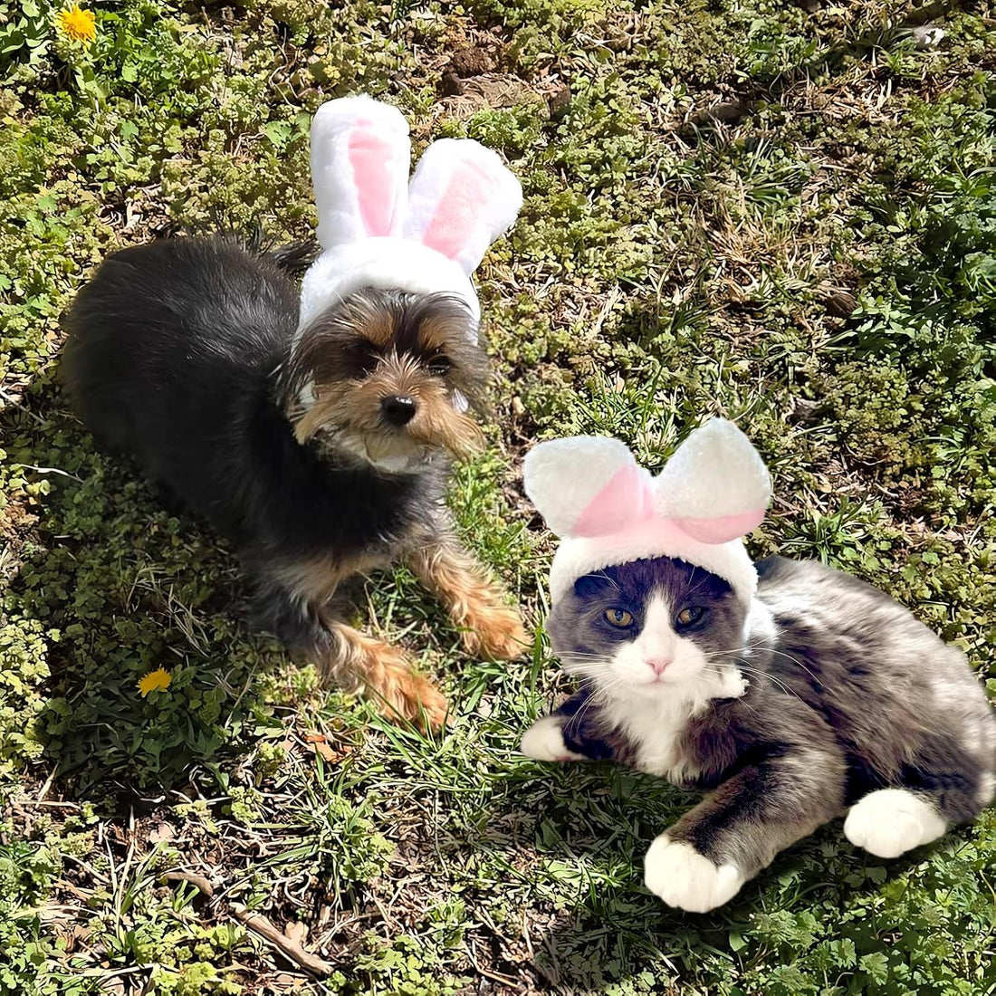 Cat Bunny Rabbit Ears Hat Costumes