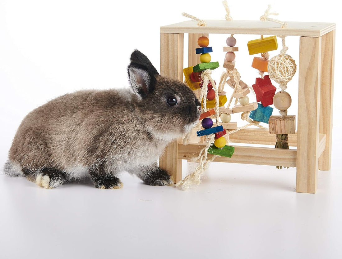 Oxbow Play Table, Rabbit & Guinea Pig Toys, Guinea Pig Accessories