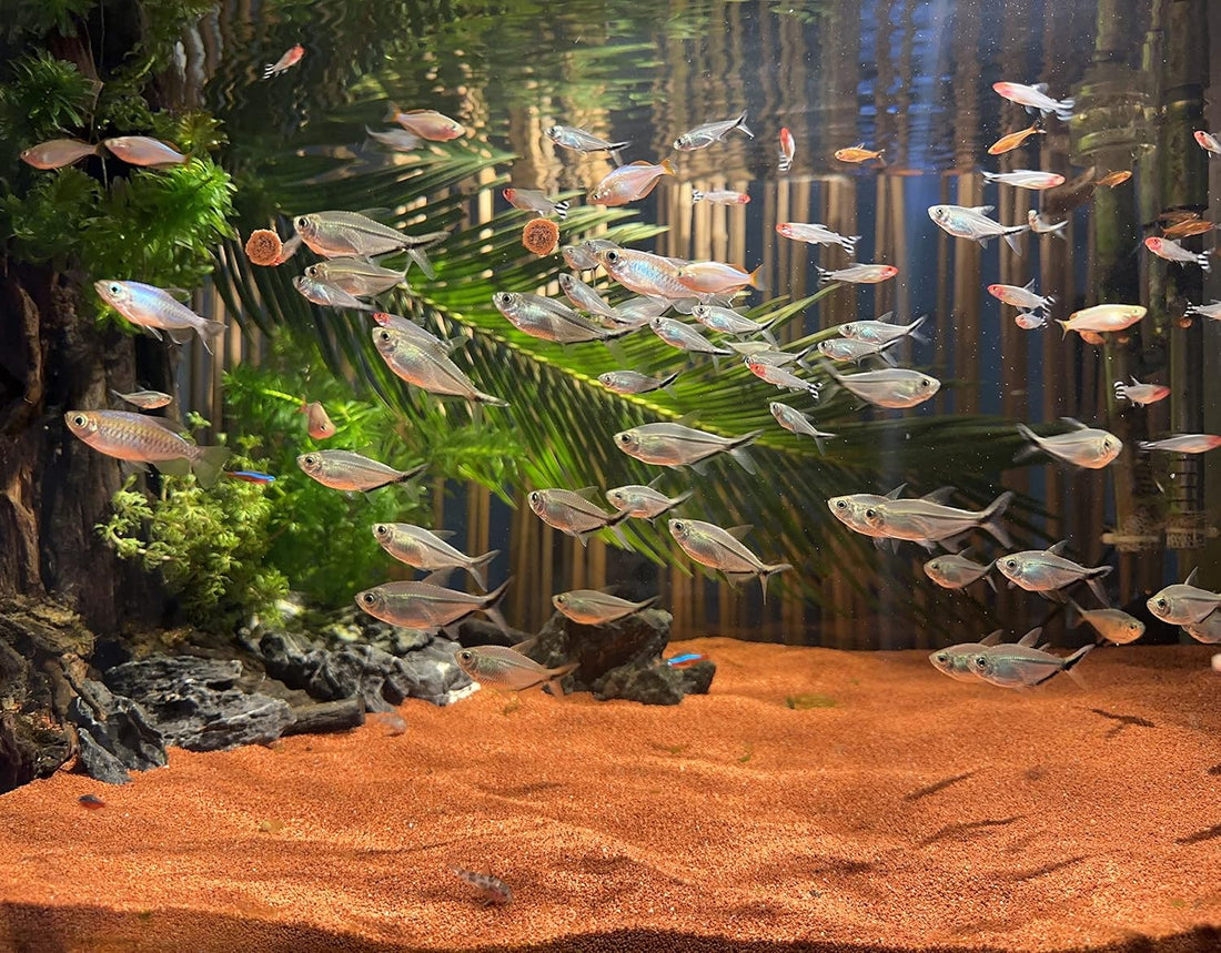 AWXZOM 11lb Natural South American Rainforest Sand, Aquarium red Sand