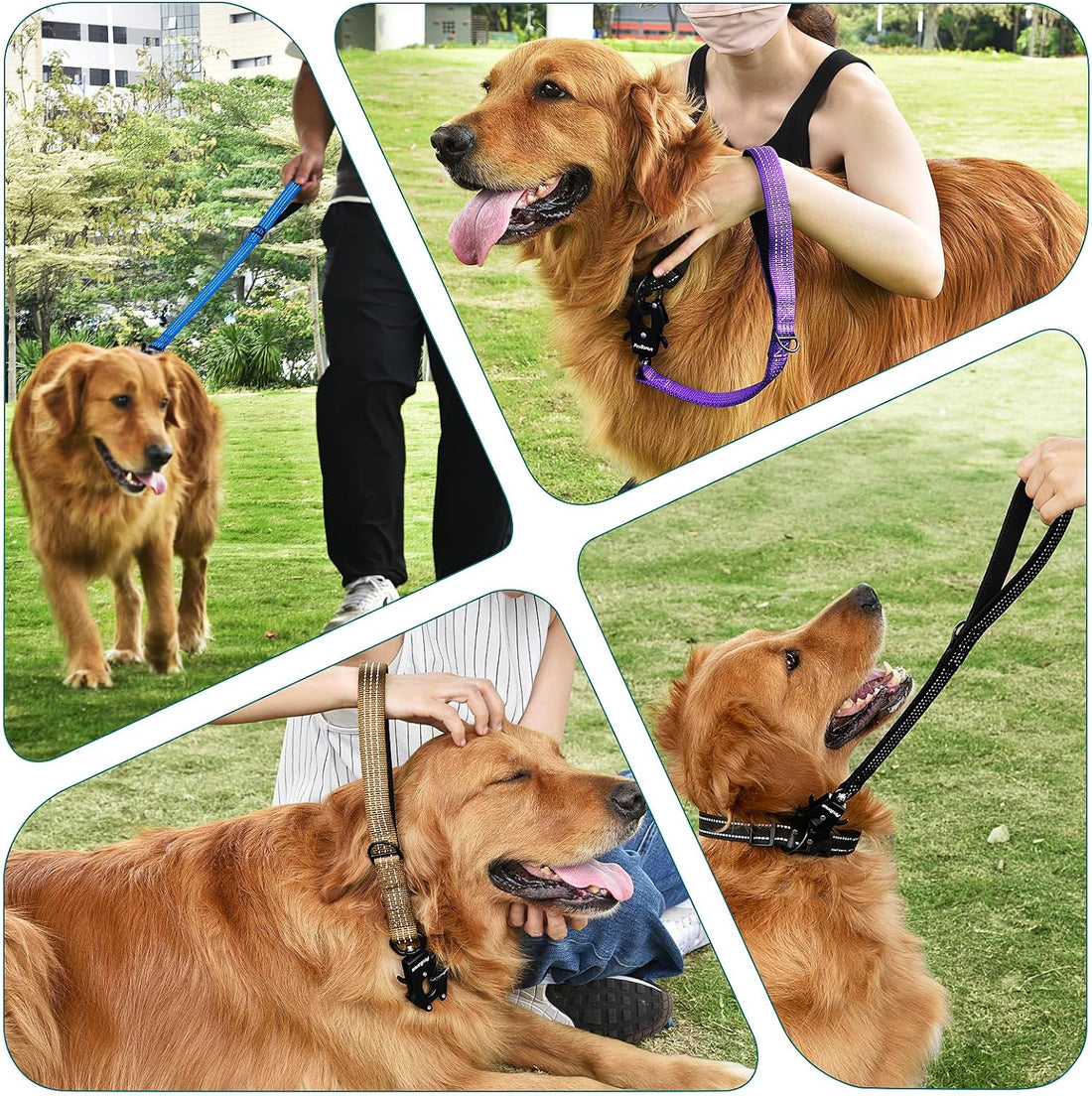 PetBonus Heavy Duty Short Dog Leash