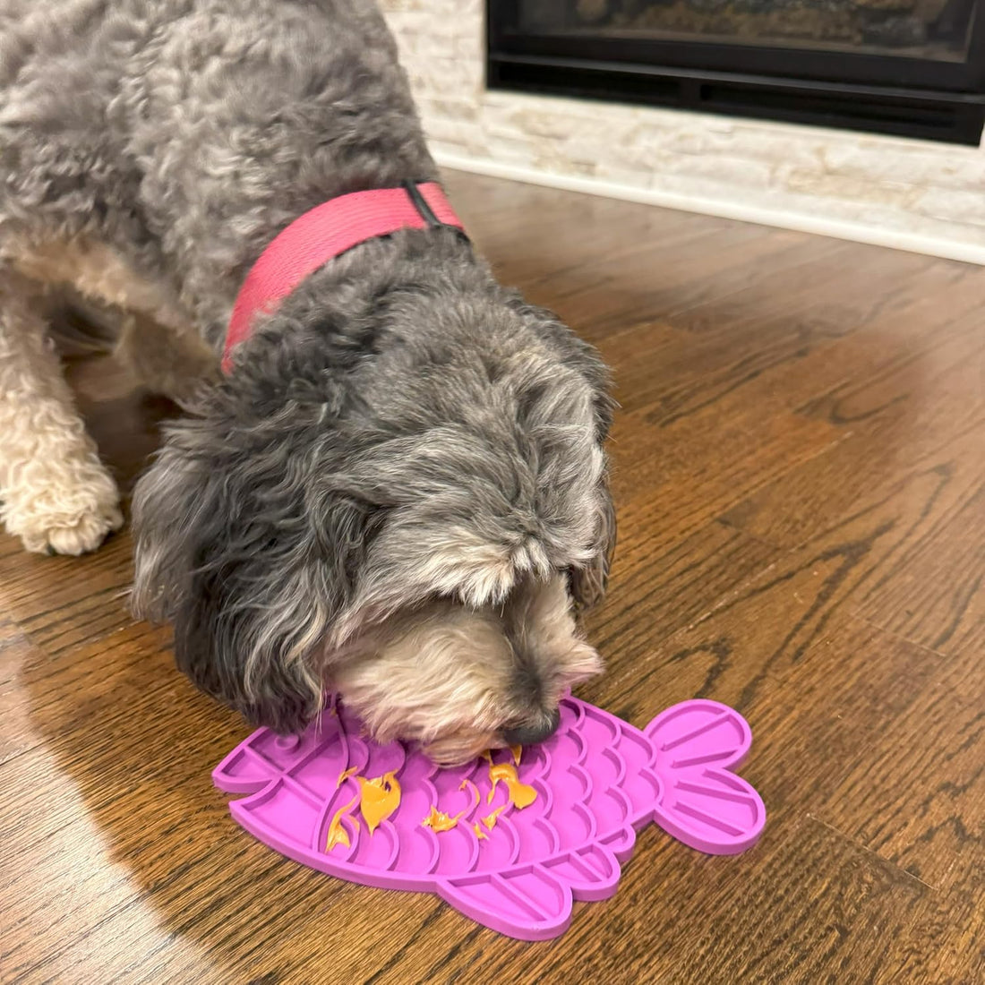 SPOT Soother Lick Mat-Licking Mat for Cats, Kittens