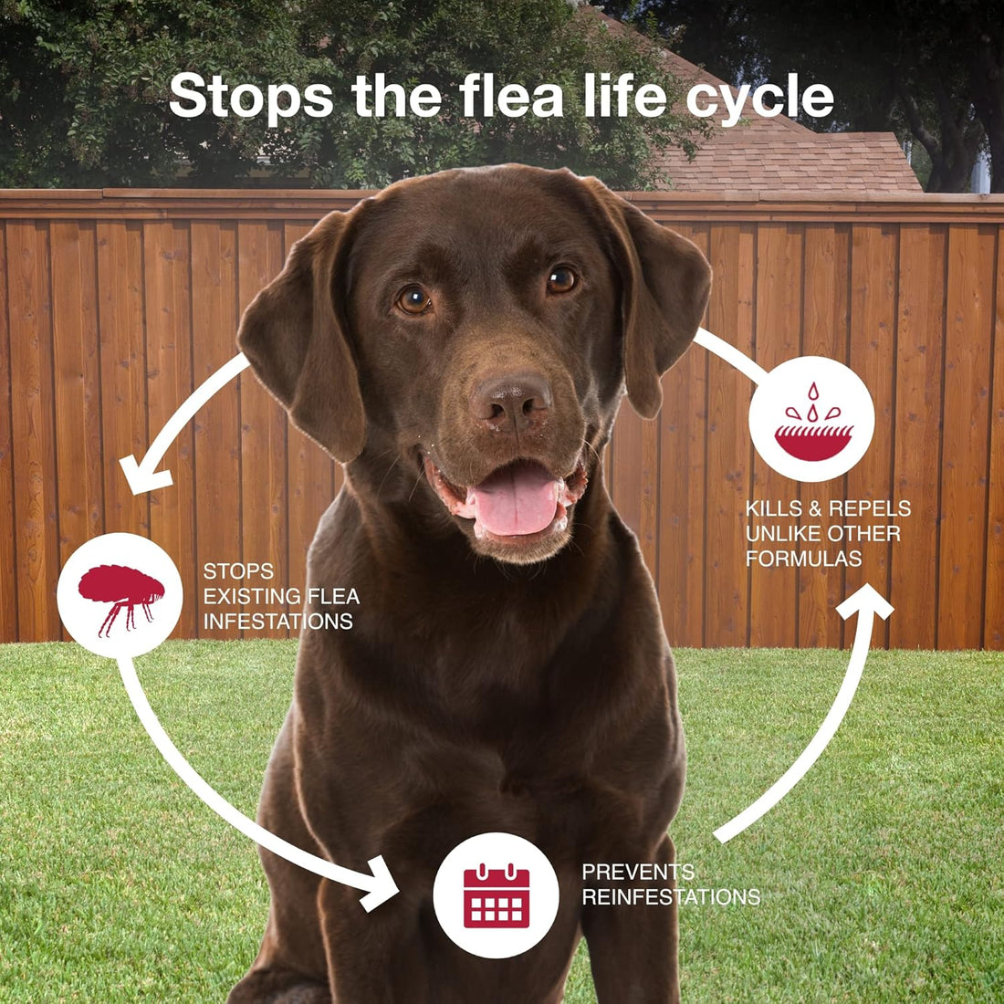 K9 Advantix II XL Dog Vet-Recommended Flea