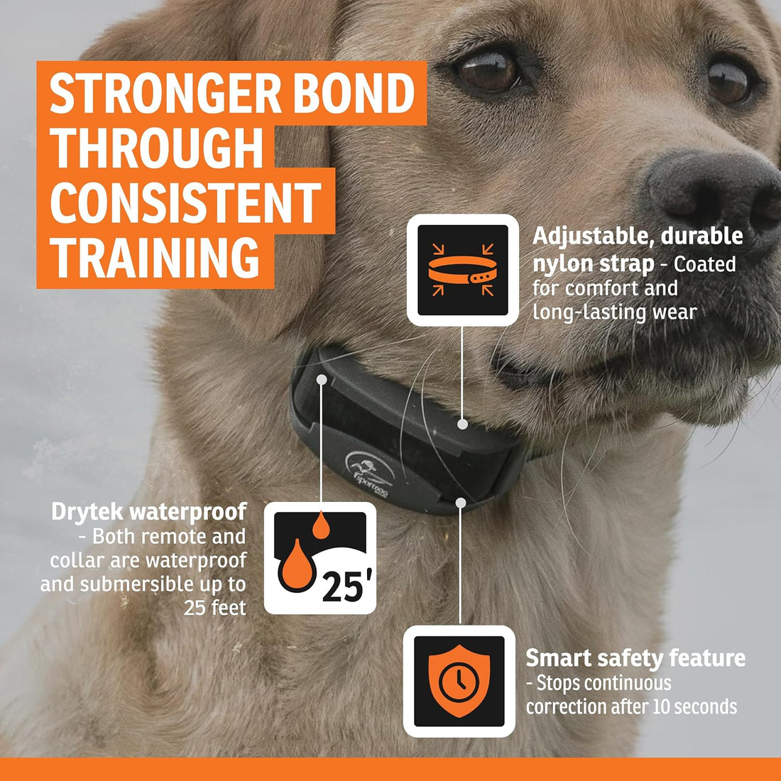 SportDOG SportHunter 825X Remote Dog Trainer, 1/2 Mile Range