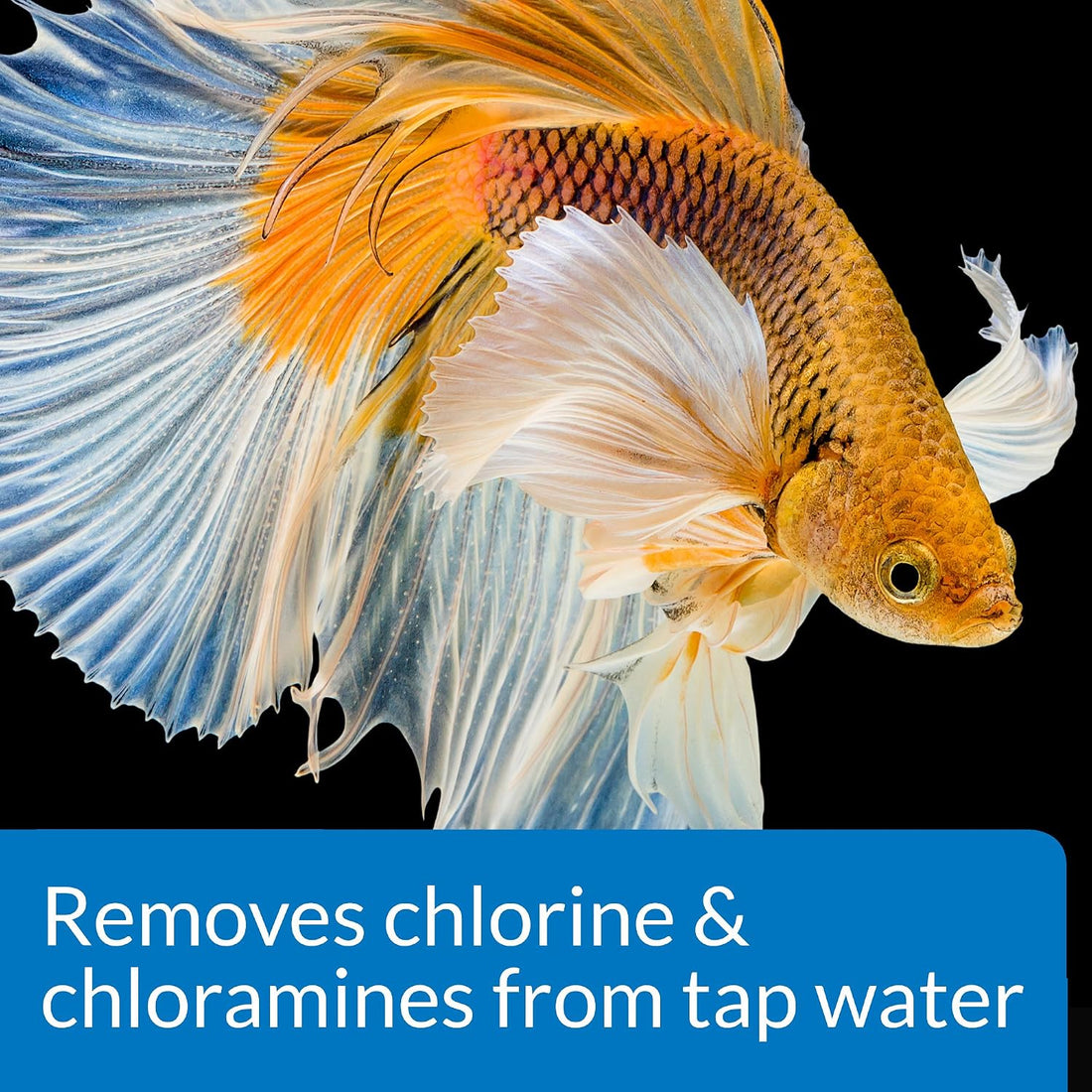 API Betta Water Conditioner Betta Fish Freshwater Aquarium Water