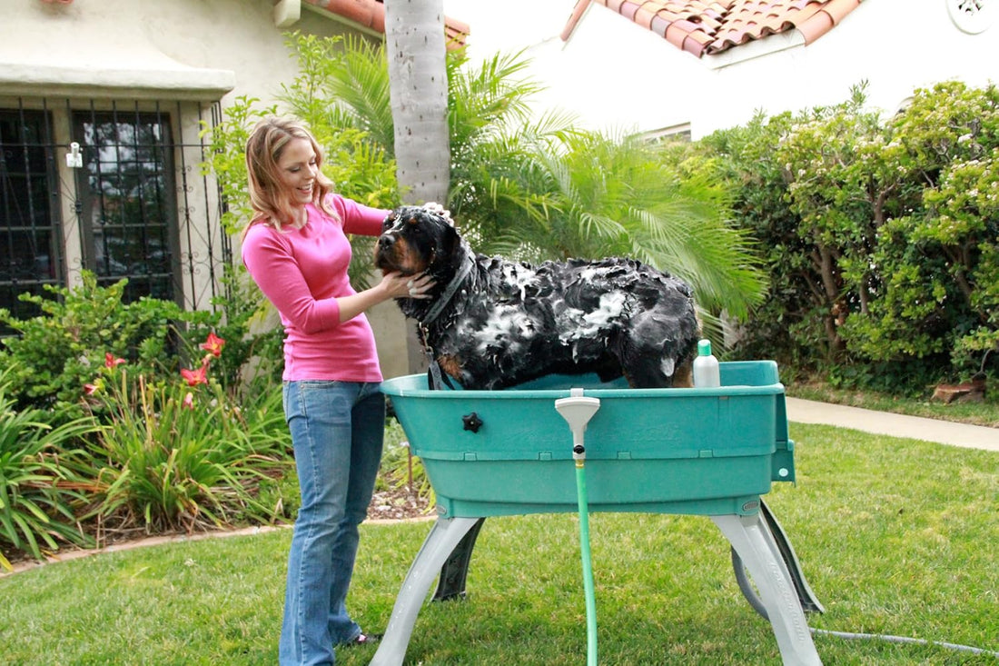 Booster Bath Elevated Dog Bathing and Grooming Center, Large