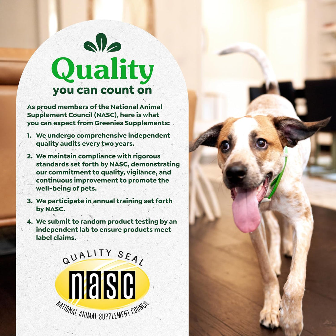 Greenies Supplements Hip and Joint Supplements for Dogs