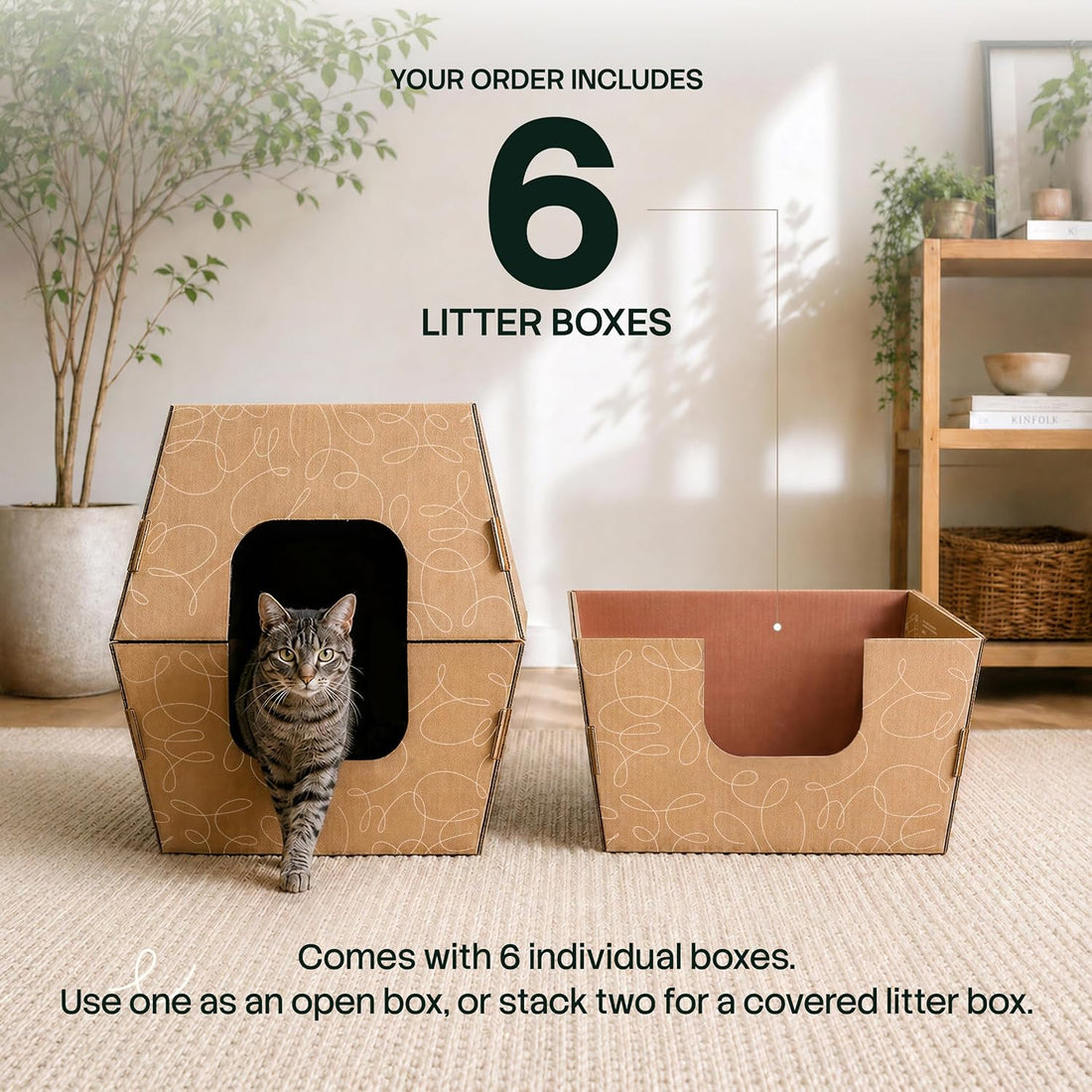 Cats Desire Disposable Litter Box, Extra Large 8.5" Tall Sides