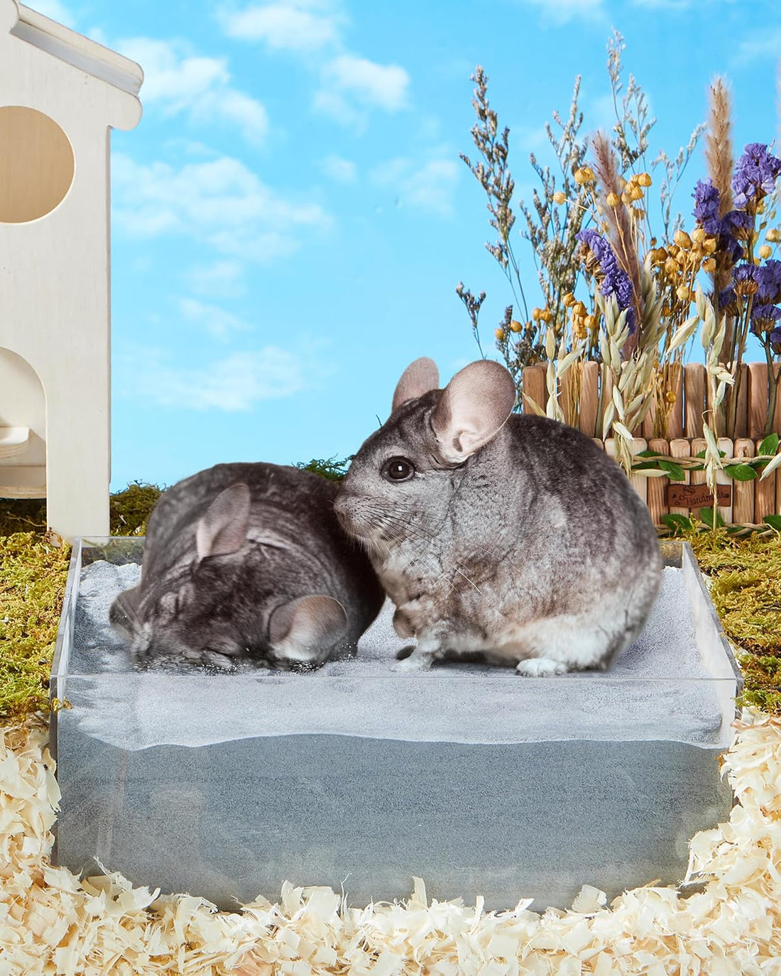 Chinchilla Dust Bath - Gentle Powder for Hamsters & Gerbils, 35oz
