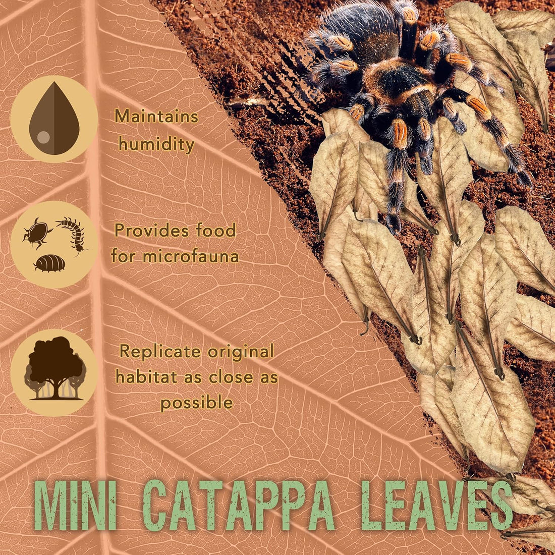 SunGrow 50 Pack Leaf Litter for Spider, Cricket & Isopod