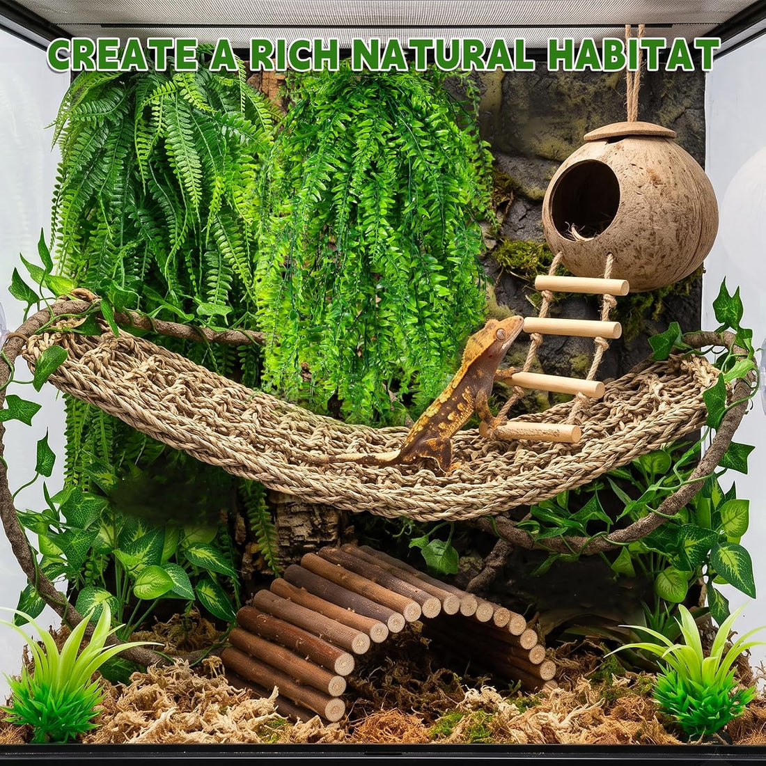 Reptile Plants for Bearded Dragon Tank Accessories