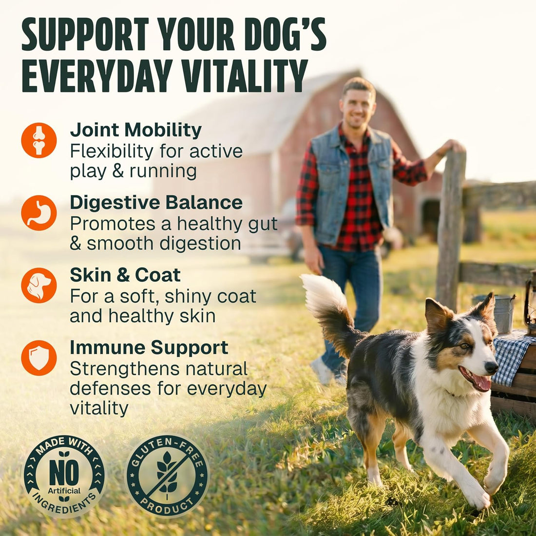 Dog Vitamins and Supplements 250 Chews