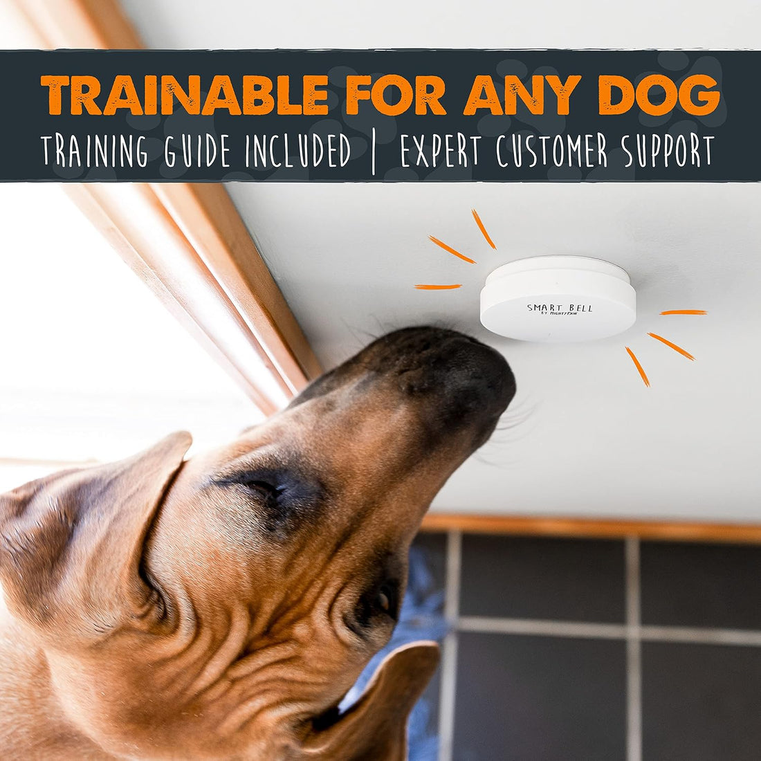 Mighty Paw Smart Bell 2.0 Dog Door Bell for Potty Training Dogs