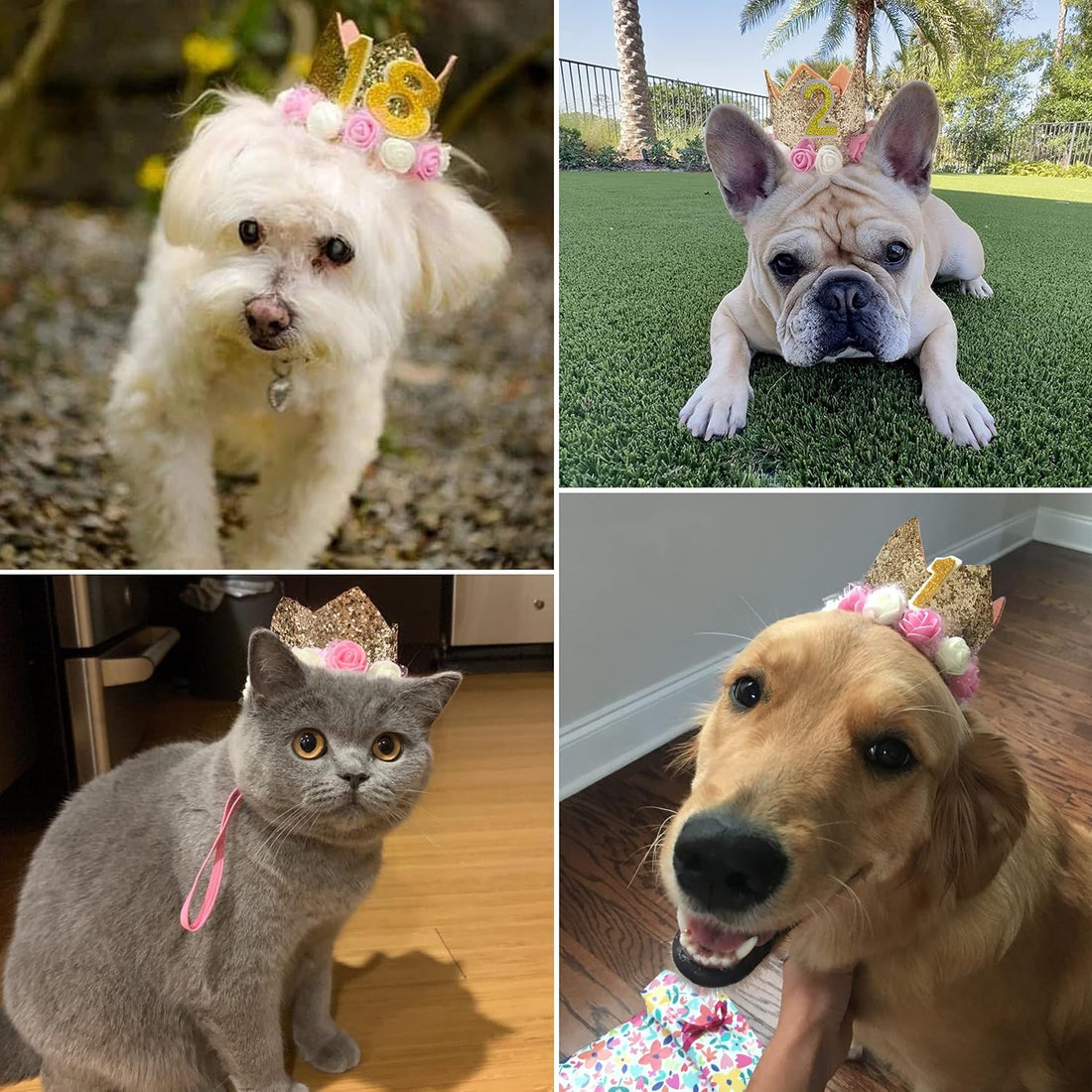 Dog Birthday Hat, Adjustable Gold Crown Hat with Numbers