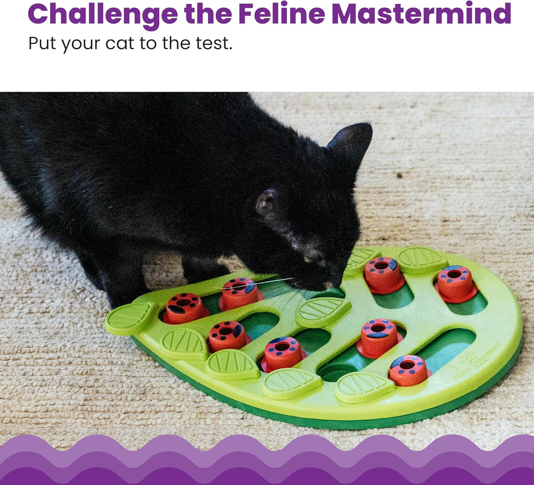 Catstages Nina Ottosson Buggin’ Out Puzzle & Play Cat Toy Treat Puzzle