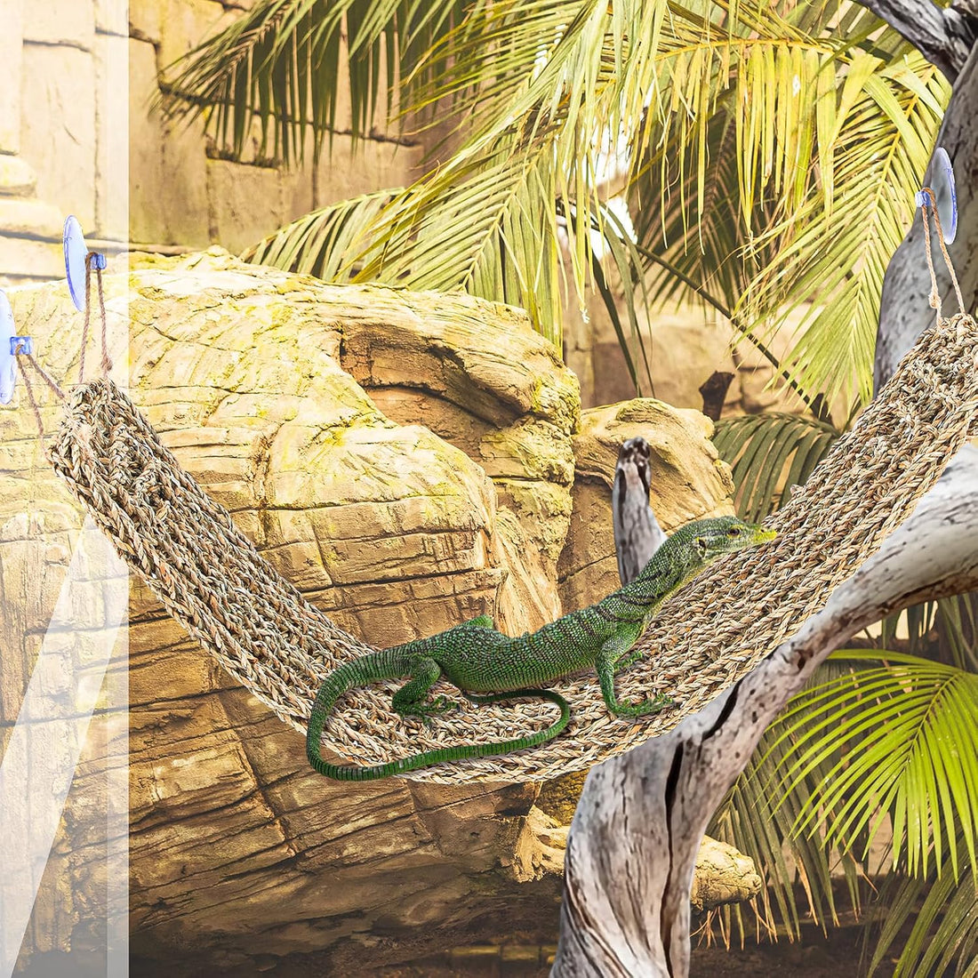 2 Pcs Bearded Dragon Hammock Reptile Lounger