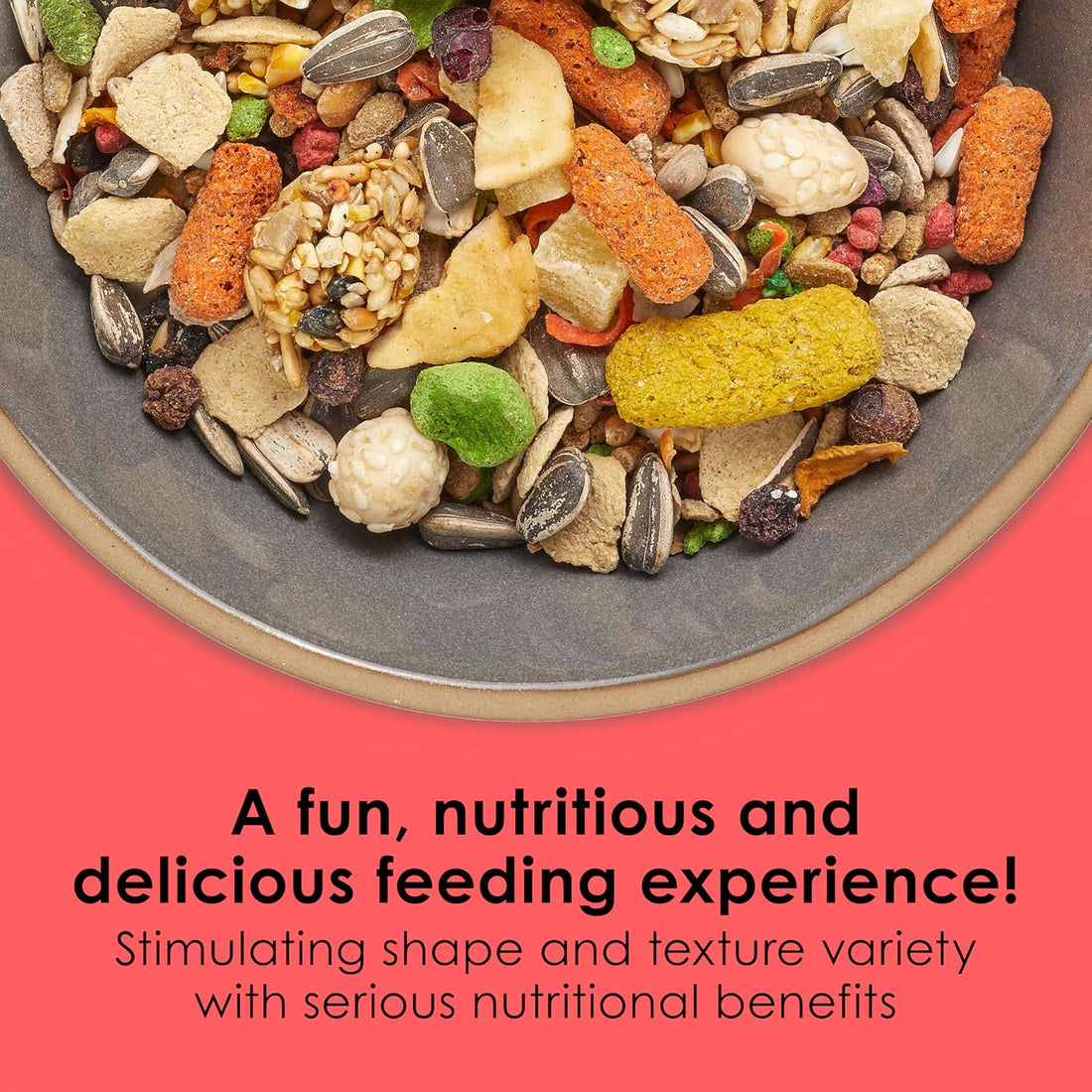 Kaytee Fiesta Conure Food, Nutritious and Fun Blend, Supports Skin