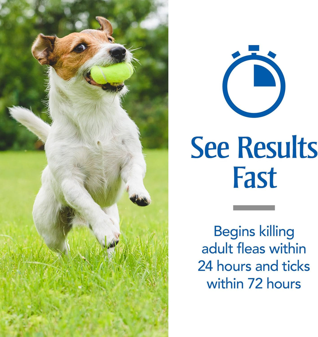 PetArmor for Dogs, Flea and Tick Treatment for Large Dogs