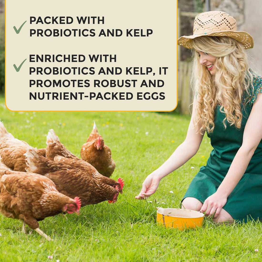 New Country Organics | Corn-Free Classic Layer Chicken Feed for Laying Hens | Corn-Free and Soy-Free | 17% Protein | Certified Organic and Non-GMO Chicken Food | 25lbs Bag