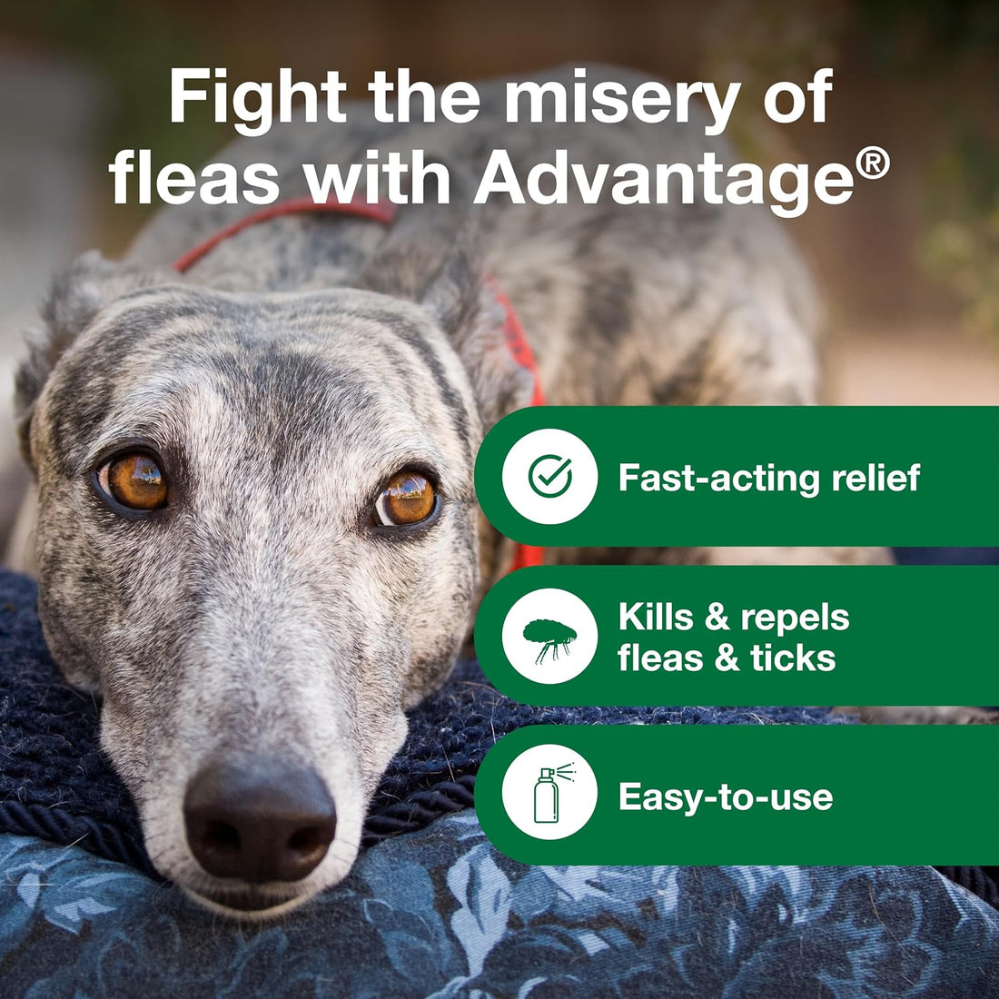 Advantage Treatment Spray for Dogs, Kills Fleas & Ticks, 8 oz.