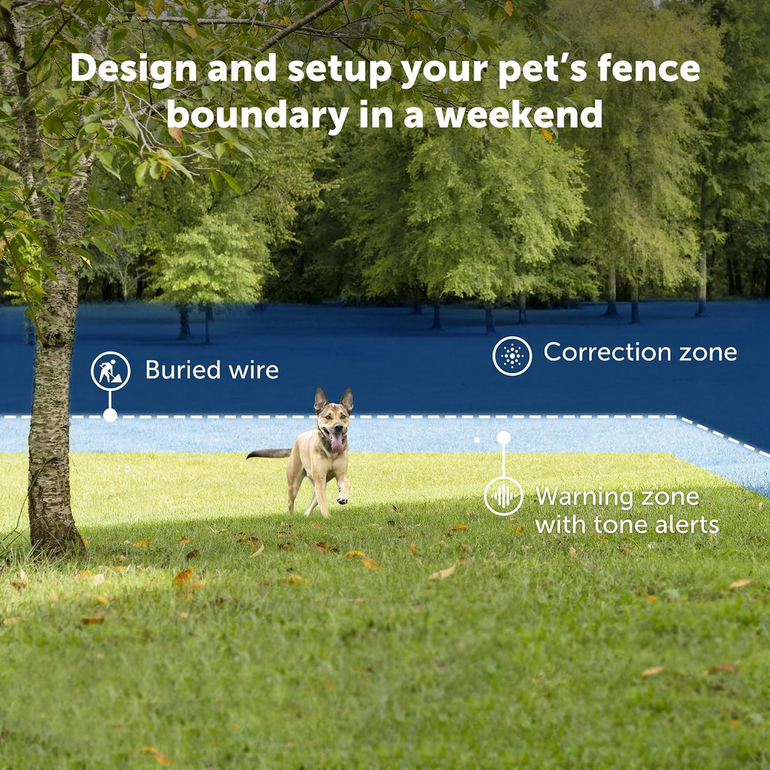 PetSafe Ultralight Pet Fence Receiver Collar for Dogs and Cats Over 8