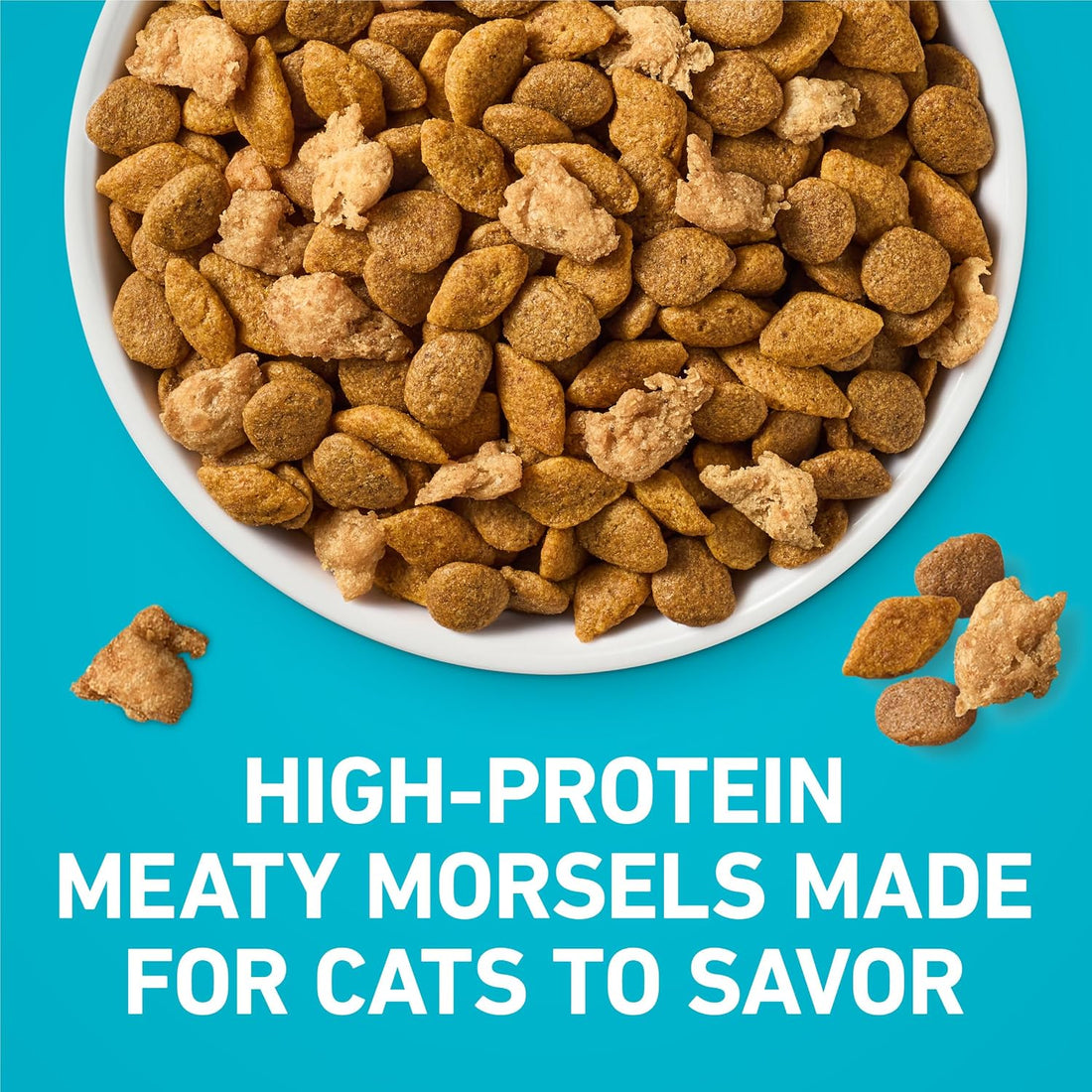 Purina ONE Natural Dry Cat Food