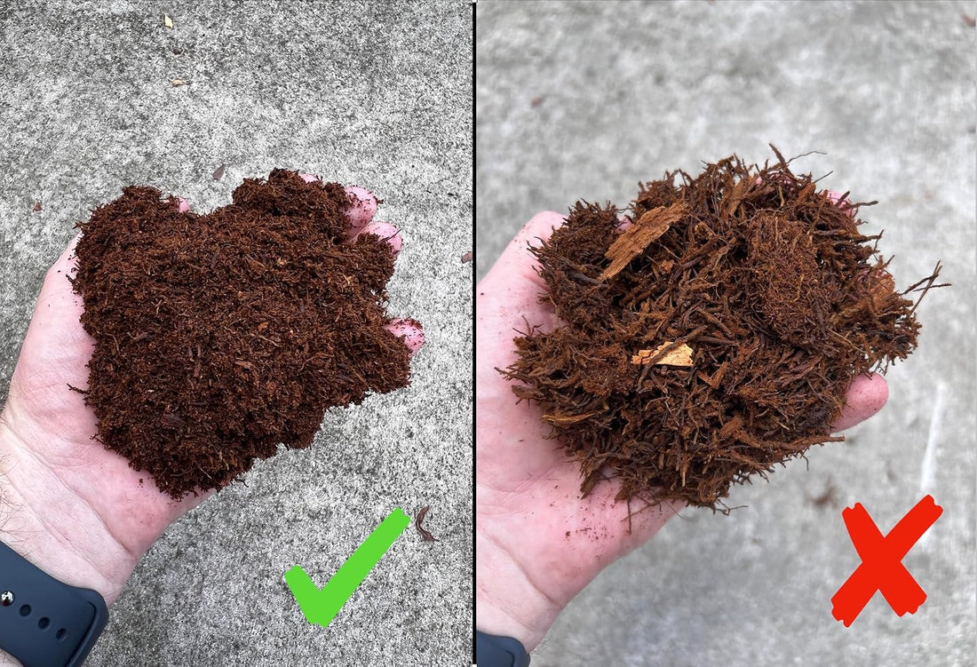 Premium New Zealand Tree Fern Fiber Growing Medium and Reptile