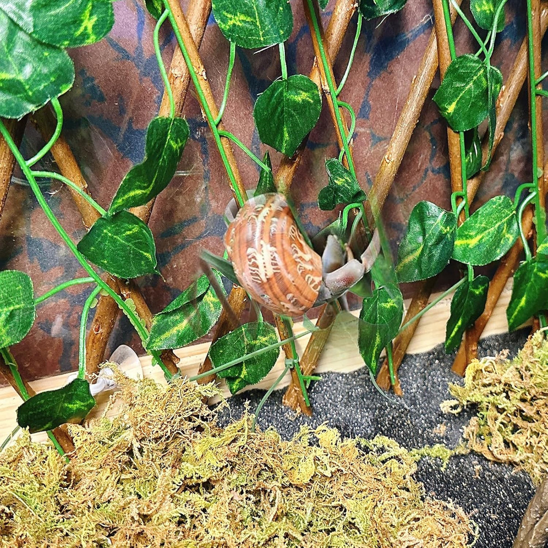 Reptile Hermit Crab Climbing Wall Toy Bearded Dragon Climb Tank