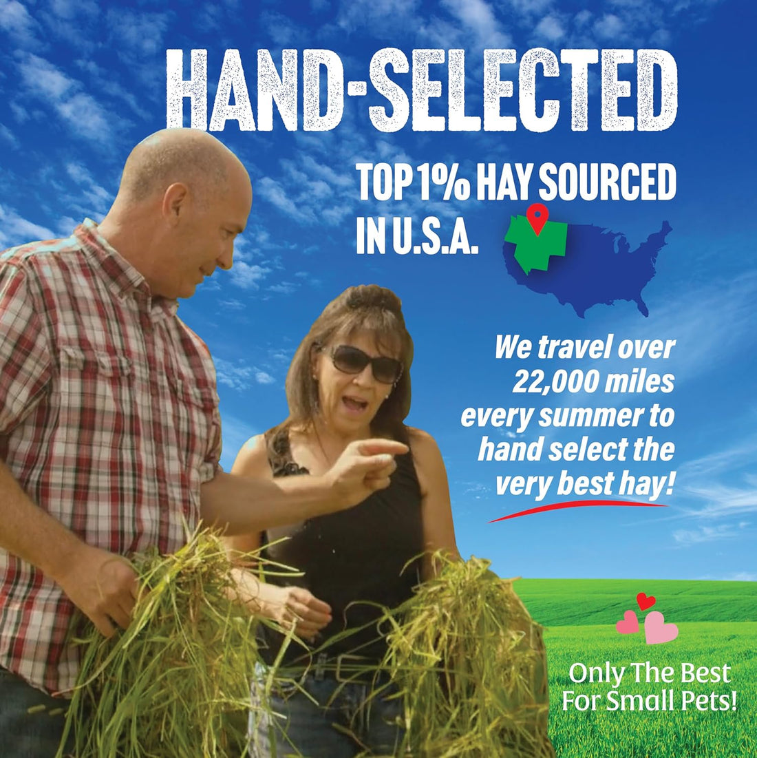 Small Pet Select 3rd Cutting Super Soft Timothy Hay, Picky Eaters