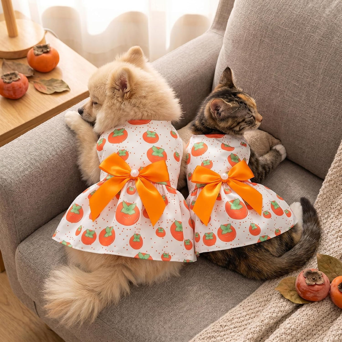 4 Pcs Dog Dress Cute Cat Dress Puppy Skirt Summer Dog Clothes Pet