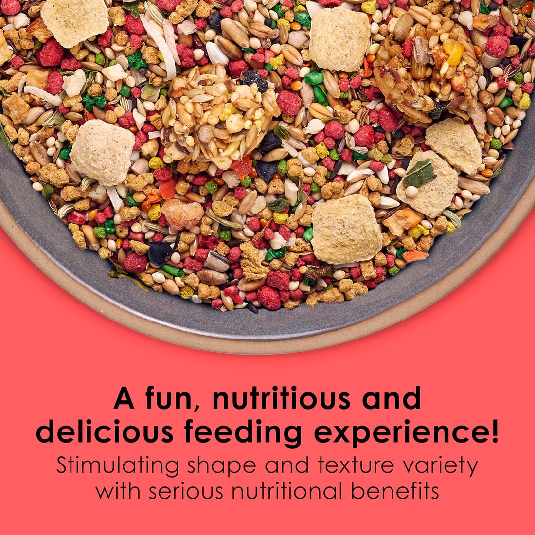 Kaytee Fiesta Parakeet Food, Nutritious and Fun Blend, Supports Skin