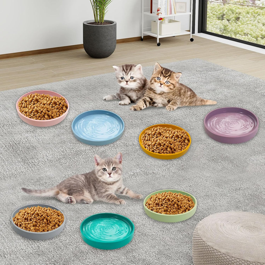 Silicone Cat Food Bowls Shallow Cat Dishes 5.9in Wide Pet Plates Set