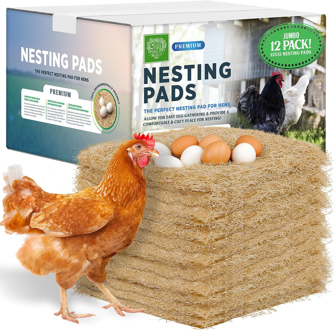 Small Pet Select Chicken Nesting Pads for Hens, 13x13 in, 12-Pack