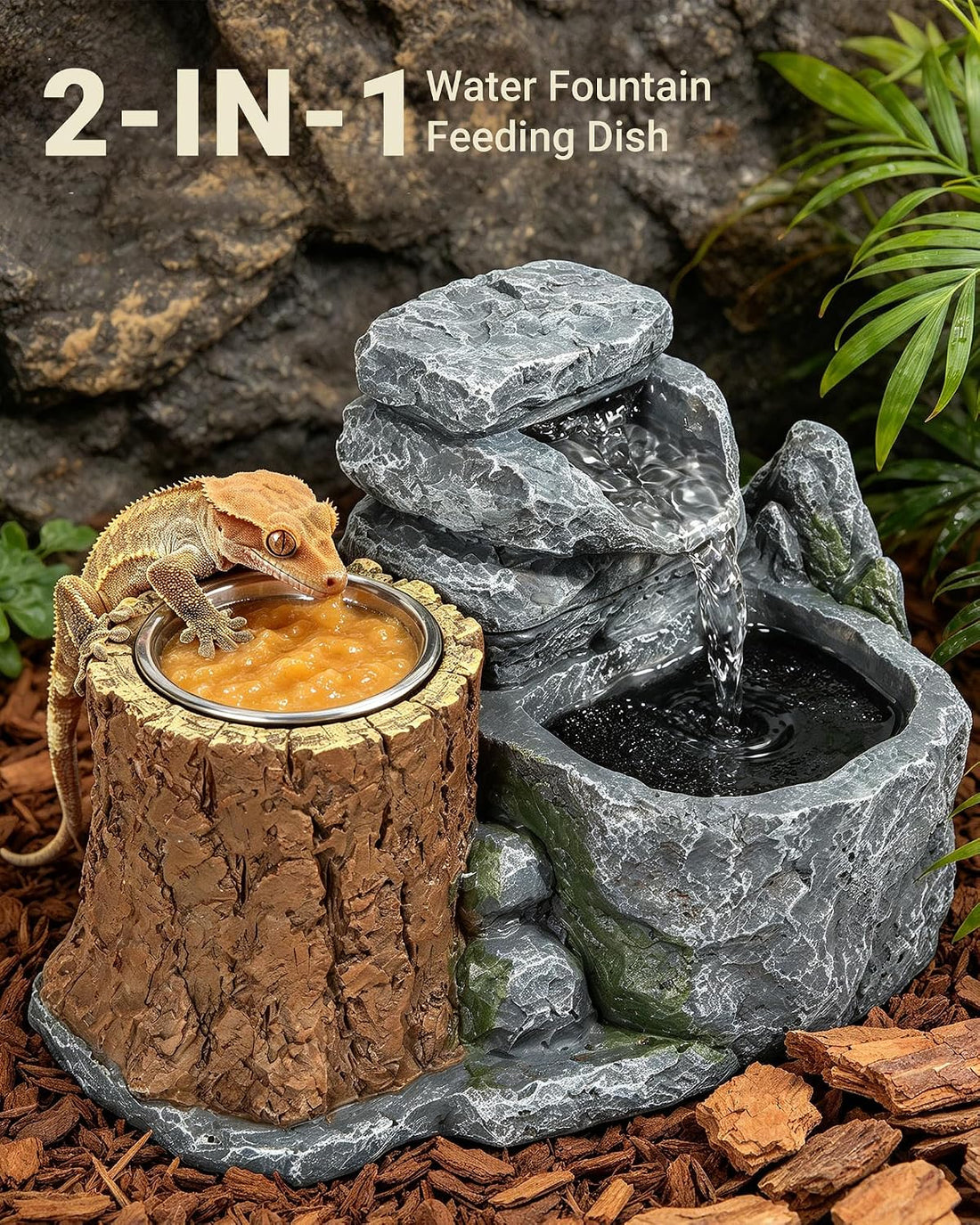 Bearded Dragon Water Fountain with 2 Stainless Steel Feeding Bowls