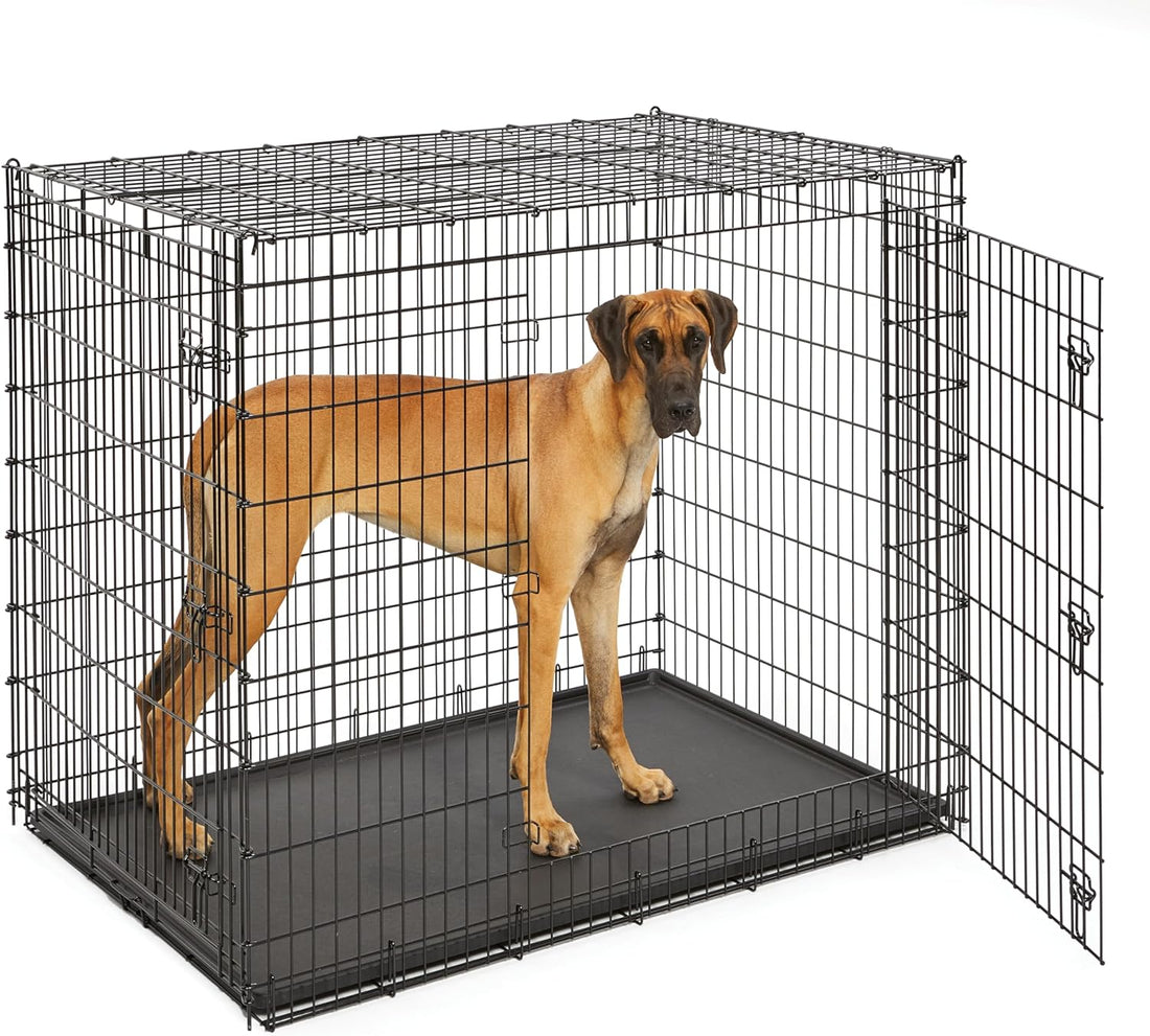 Solutions by Midwest 54-Inch Double Door Crate, Giant Breed Dogs