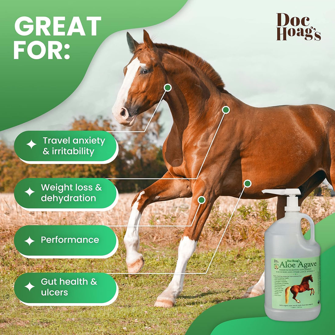Doc Hoag's Aloe Vera Horse Supplement, Gastric & Ulcer Support