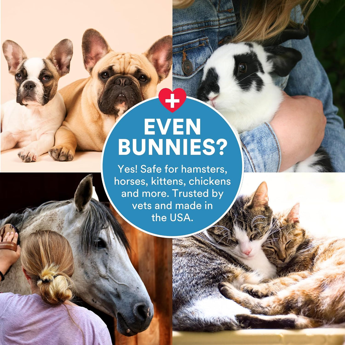 SkinSmart Antimicrobial Wound Care for Pets