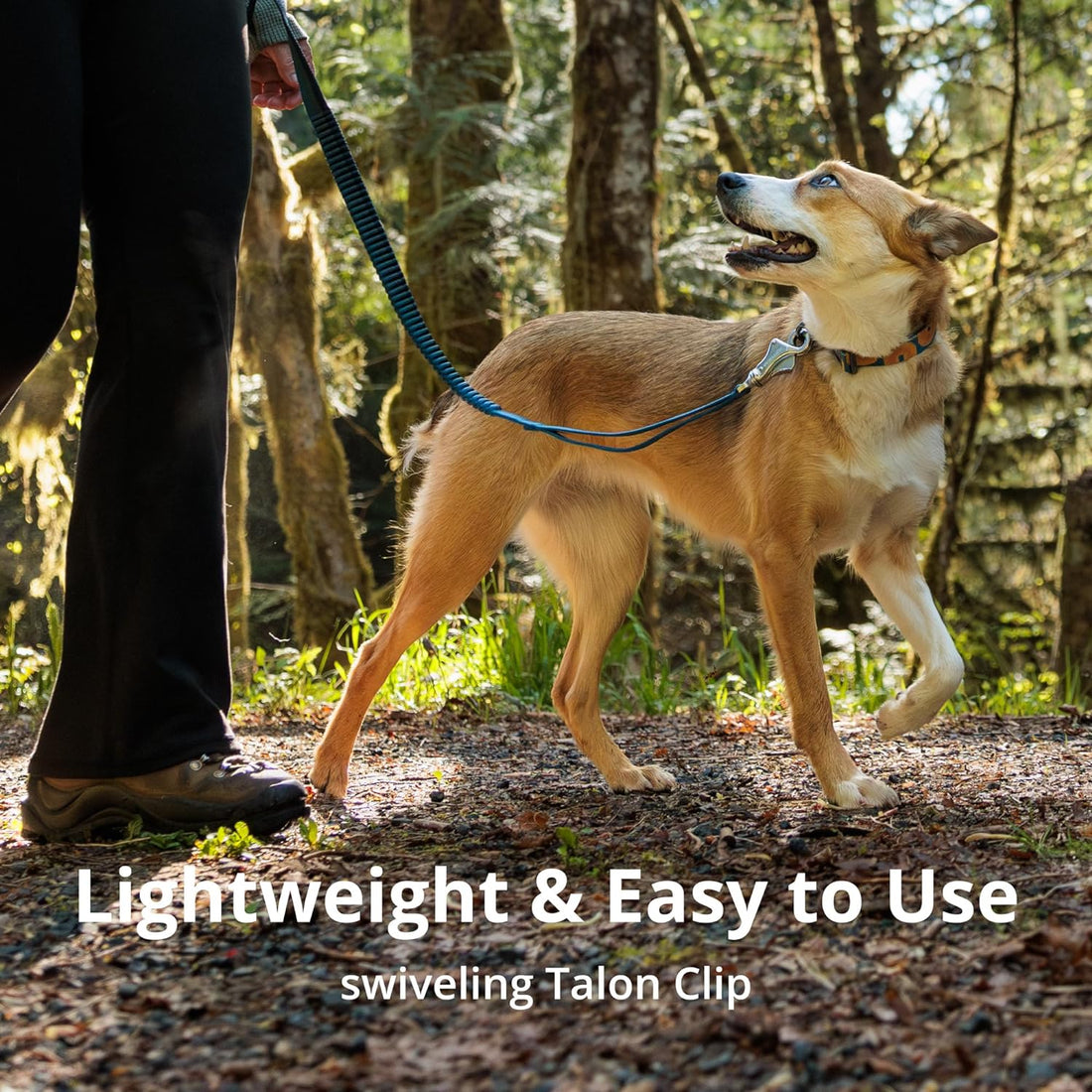 Ruffwear, Roamer Bungee Dog Leash for Running, Biking or Hiking