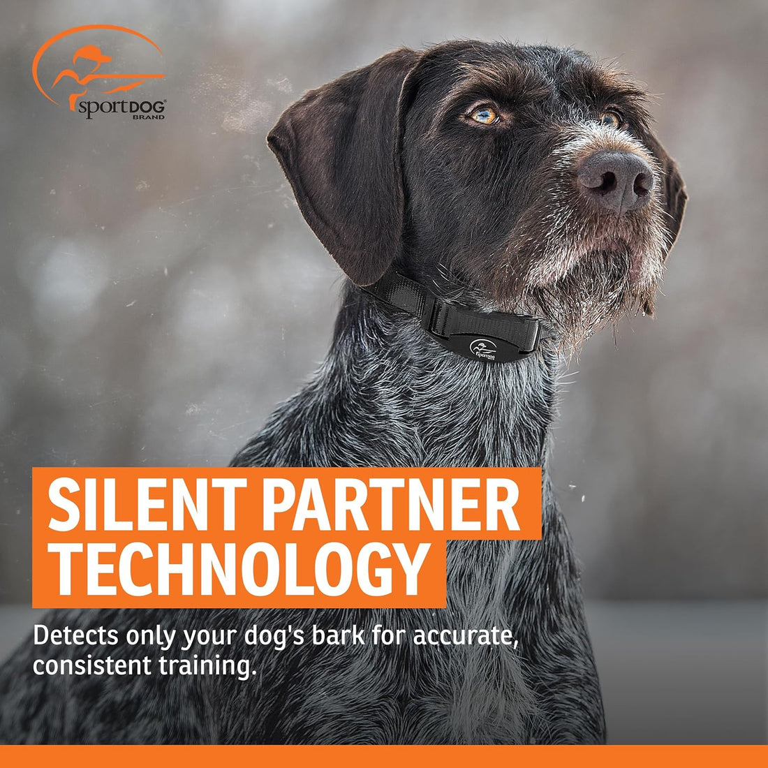 SportDOG NoBark Rechargeable Bark Collar