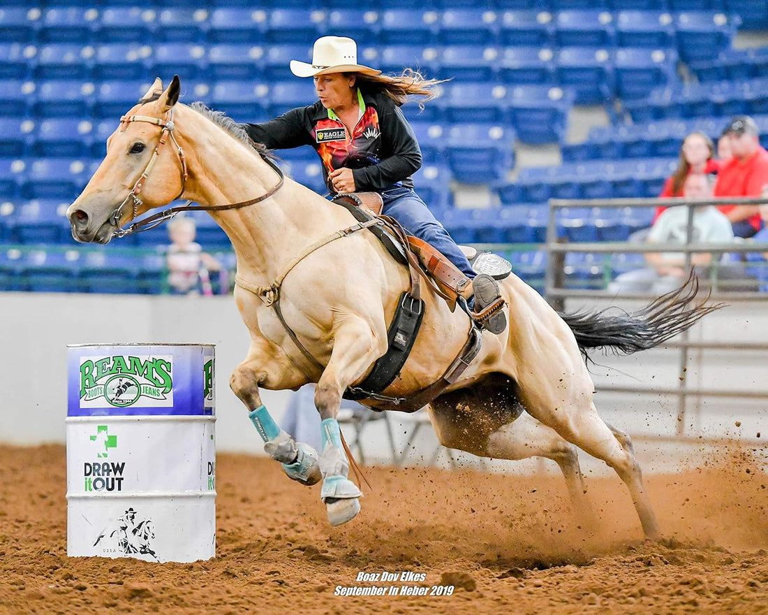 Pre-Performance Paste for Horses - All Natural Calmer, Acid Buffer