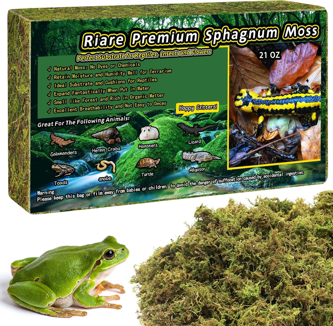 Riare 8 OZ Natural Sphagnum Moss for Reptiles