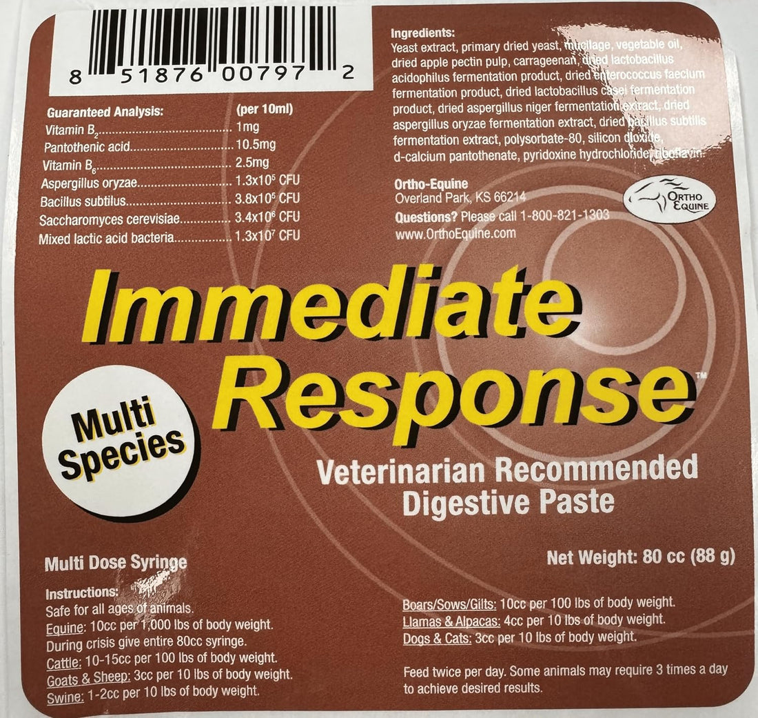 Immediate Response Digestive Paste, Multi-Species, 80ml